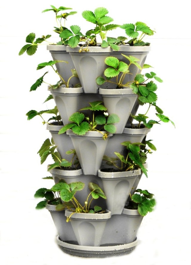 Vertical-Vegetable-Garden-Ideas-22