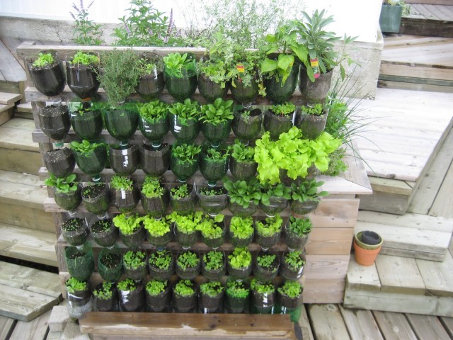 Vertical-Vegetable-Garden-Ideas-3
