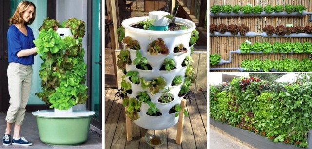 Vertical-Vegetable-Garden-Ideas