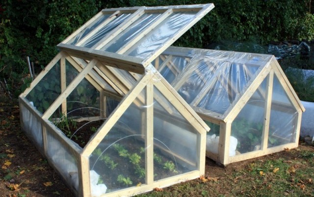 DIY-Mini-Greenhouse-1