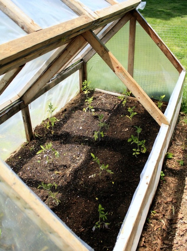 DIY-Mini-Greenhouse-4