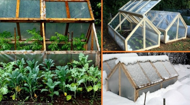 DIY-Mini-Greenhouse