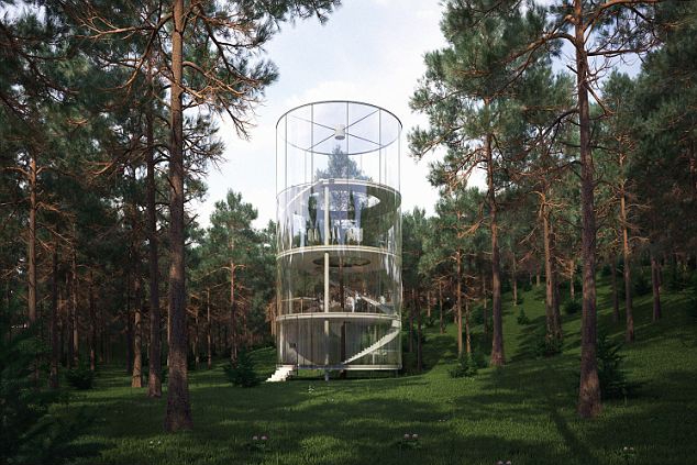 Glass-Treehouse-2