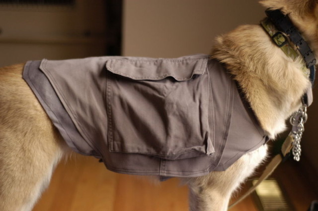 Doggy-Cooling-Vest-1