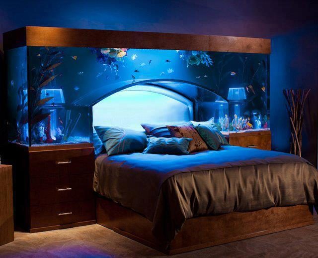 Aquarium-Bed