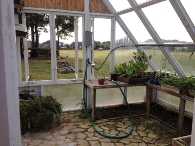 old-windows-greenhouse-11