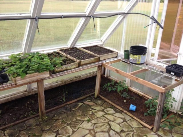 old-windows-greenhouse-12