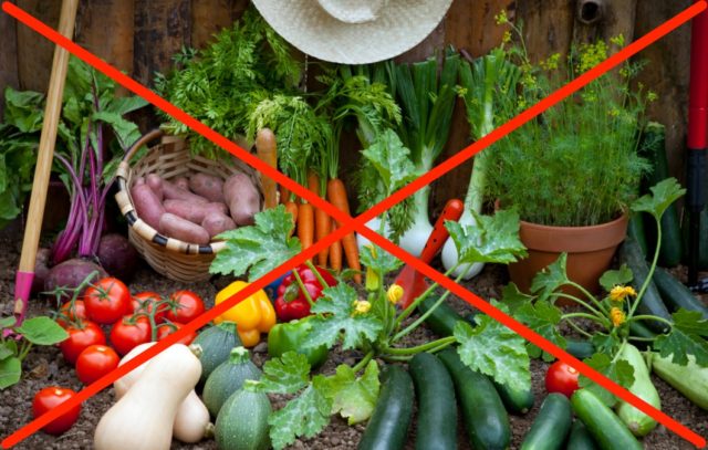 vegetable-gardens-banned