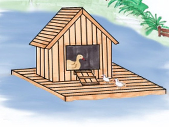 Floating-duck-house-3