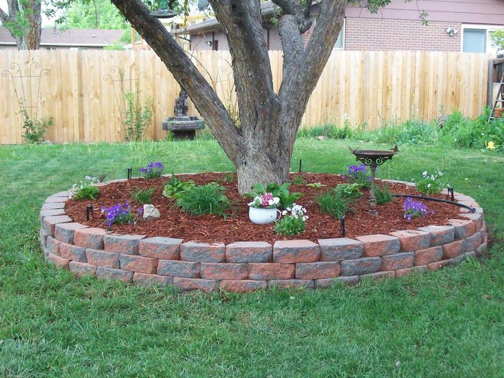 Goodshomedesign, Tree And Landscaping