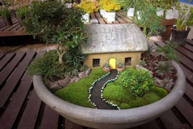 Goodshomedesign, Miniature Garden Set Up