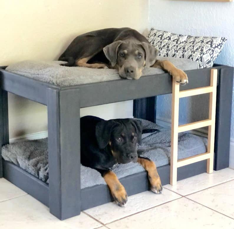 Doggie Bunk Beds Home Design Garden, Dog Bunk Bed Plans With Stairs