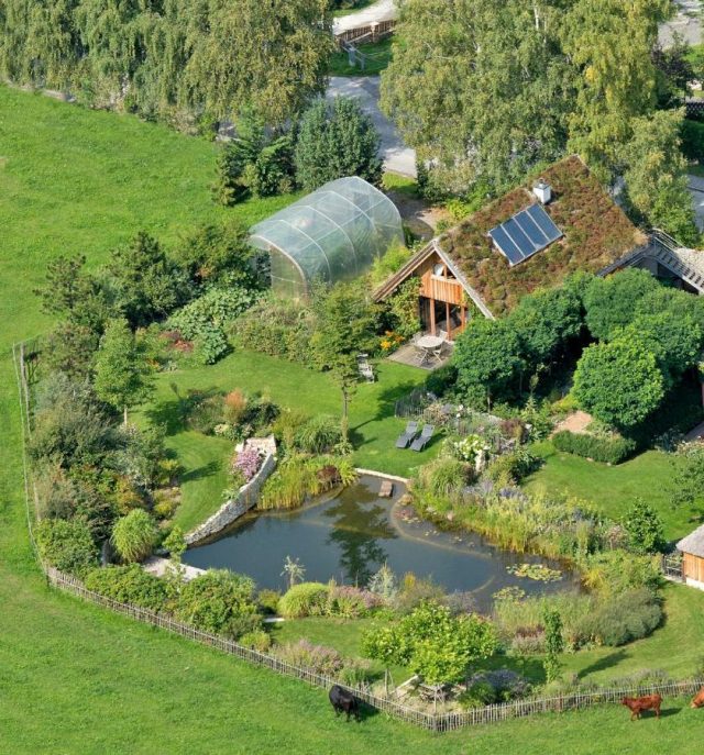 Small cosy house with eco pool, green roof and vegetable garden